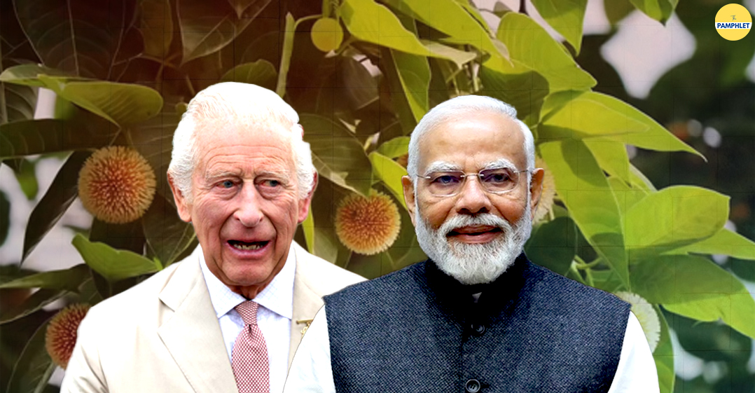 King Charles III gifts PM Modi a Kadamb tree
