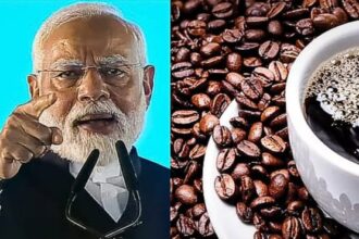 Transformations in Indian Coffee Market, Consumption Patterns, and Brand Innovation Amid Expanding Global Demand