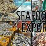India's seafood exports surged 17% to $3.97 billion in H1 2025 despite a 6% dip in US shipments, driven by higher sales to China, Vietnam, and Thailand amid US tariff challenges.