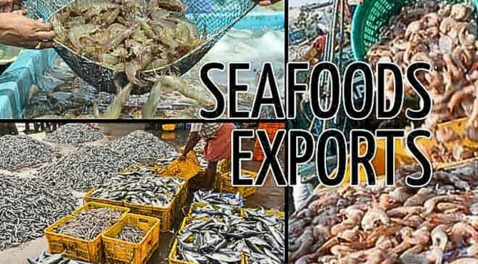 India's seafood exports surged 17% to $3.97 billion in H1 2025 despite a 6% dip in US shipments, driven by higher sales to China, Vietnam, and Thailand amid US tariff challenges.