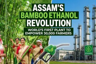 Assam Bio Ethanol Pvt Ltd’s bamboo-based ethanol plant in Numaligarh targets 30,000 farmers for sourcing bamboo, marking a major step in India’s green energy transition.