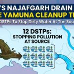 Delhi Yamuna cleanup