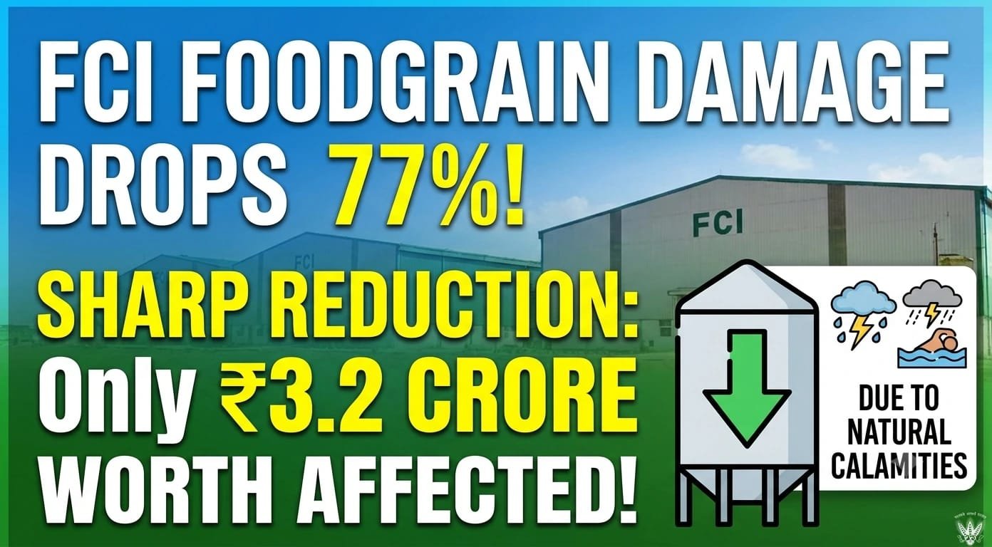 Food Grains